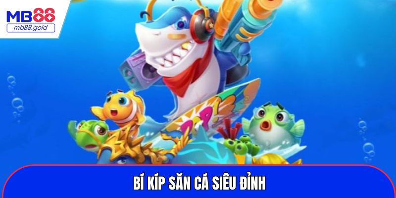 Bí kíp săn cá siêu đỉnh