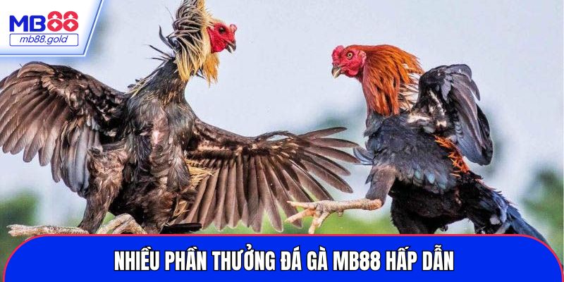 Nhiều phần thưởng đá gà MB88 hấp dẫn