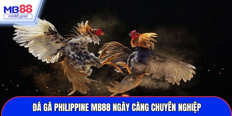 Đá gà philippine MB88 ngày càng chuyên nghiệp