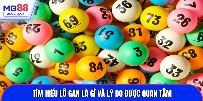 Tìm hiểu lô gan là gì và lý do được quan tâm