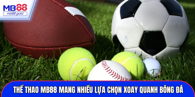 Thể thao MB88 mang nhiều lựa chọn xoay quanh bóng đá